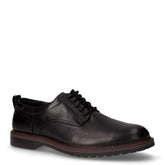 Aldwin2 Derby stringata in pelle nero | Boscaini Scarpe