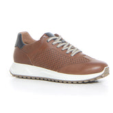 Sneaker tabacco - SALDI Sneakers Uomo | Boscaini Scarpe